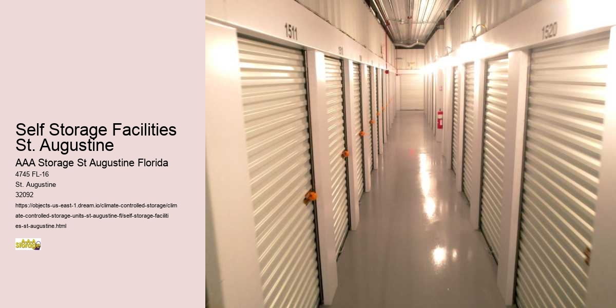 Self-Storage and Home Office Organization in St. Augustine