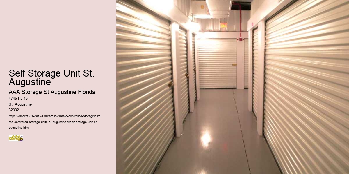 St. Augustine Self-Storage vs. Home Clutter: Making the Right Choice