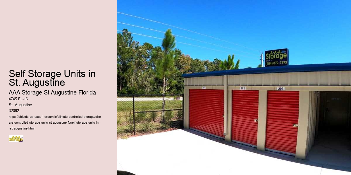 Getting Involved: Volunteering in St. Augustine