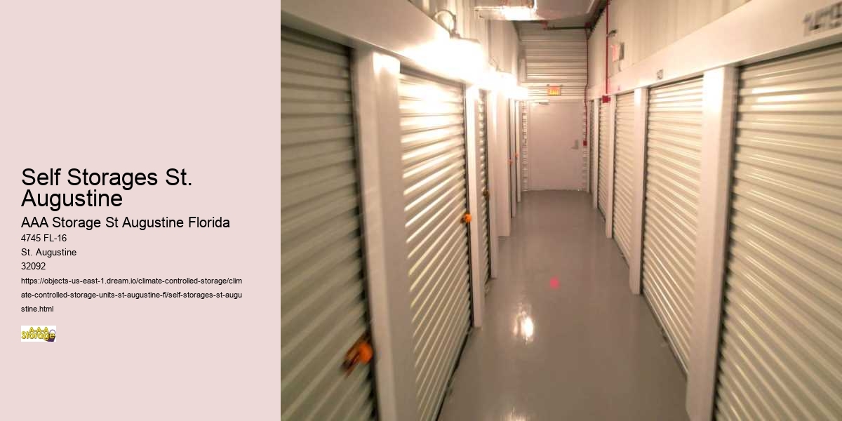 Self-Storage for Collectors: Preserving Your Treasures in St. Augustine