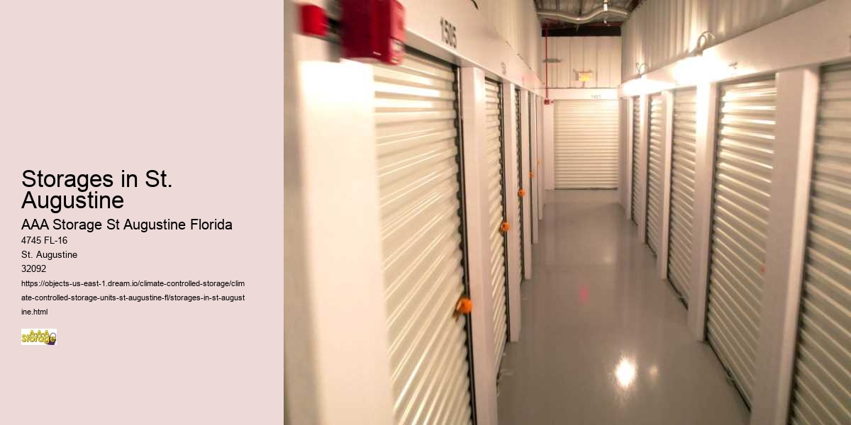 Packing Like a Pro: Tips for Storing in Self-Storage