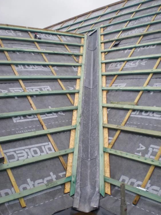 What are some recommended roofers in Dublin?