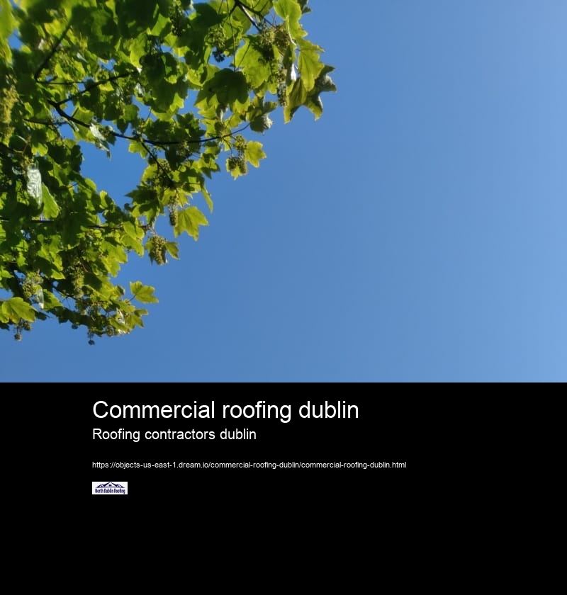 Commercial roofing dublin Roofing contractors dublin How can I get my roof repaired in Dublin?