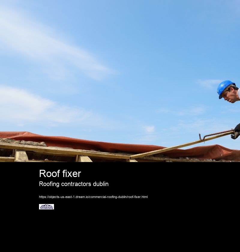 Roof fixer