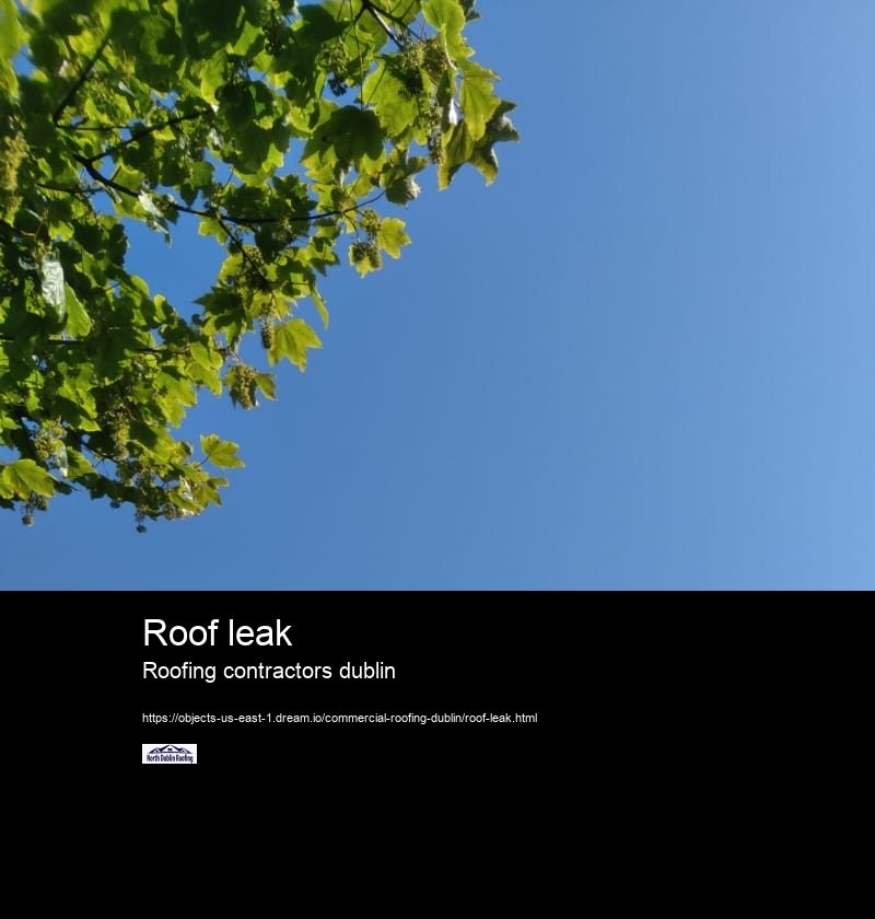 Roof leak