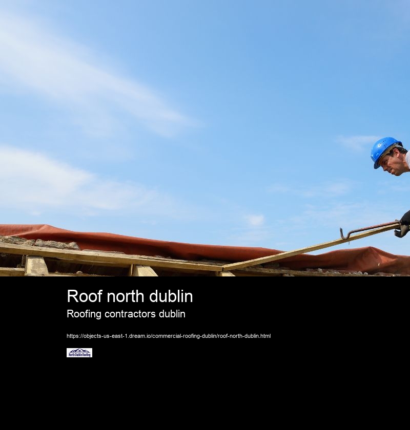 Roof north dublin