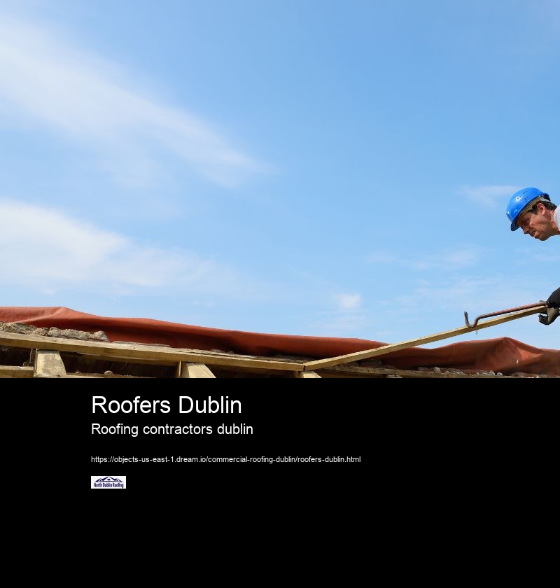 Roofers Dublin