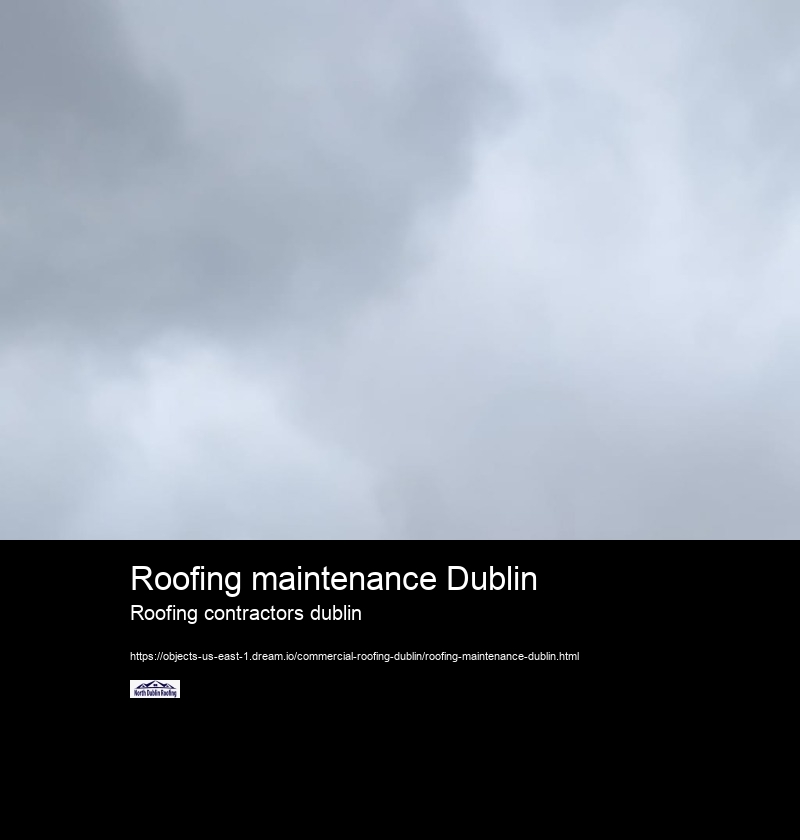 Roofing maintenance Dublin