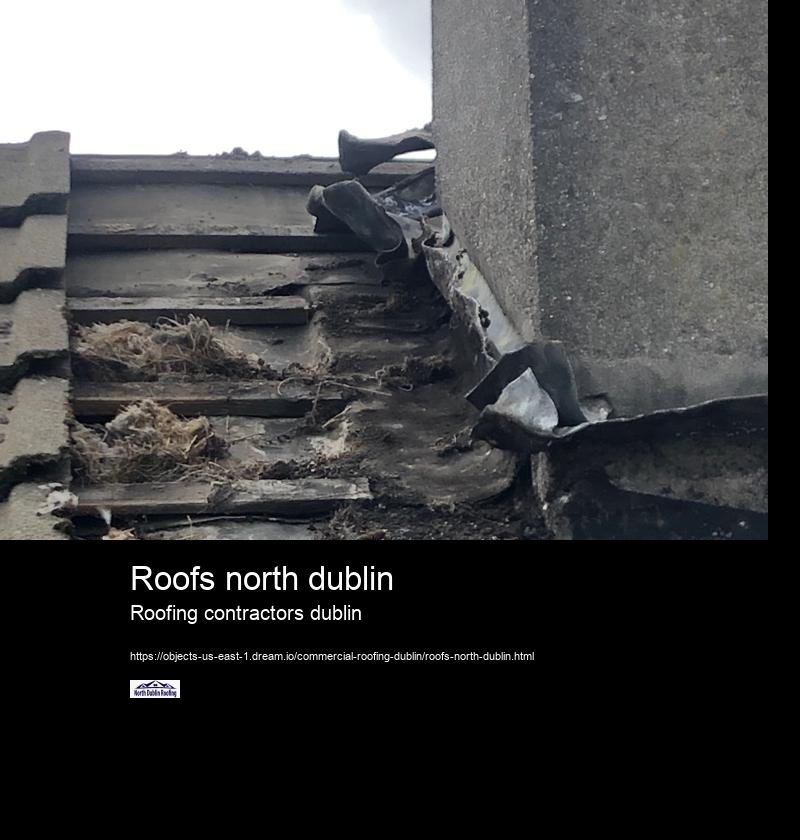 Roofs north dublin