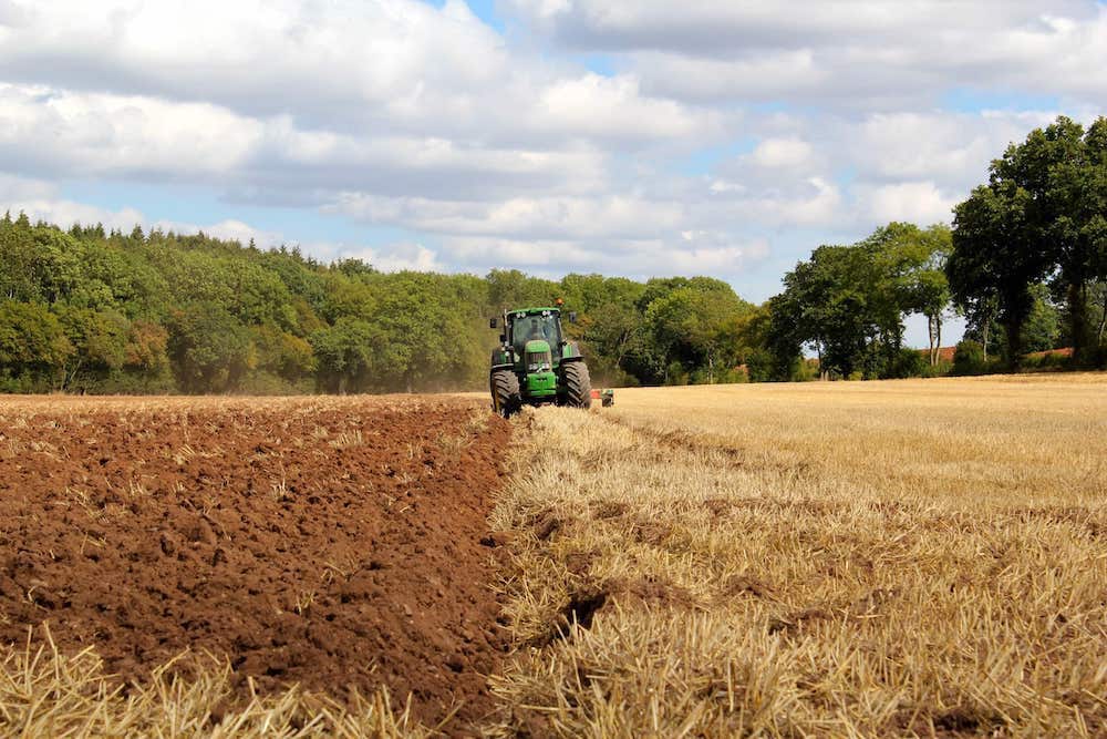compost tea company