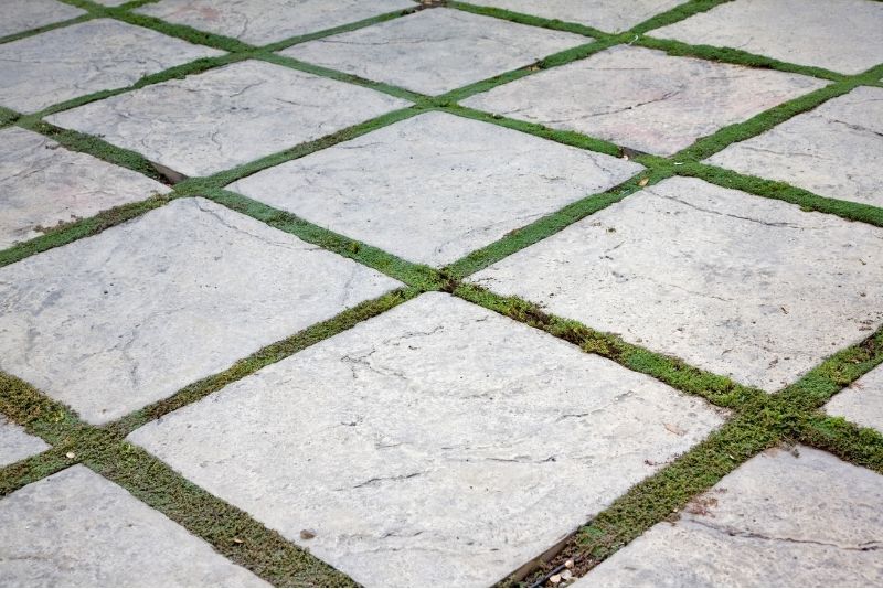 mud slabs