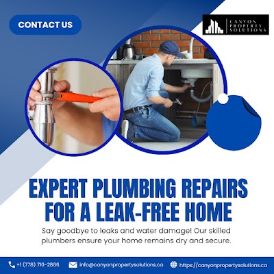 Kitchen Plumbing And Electrical Home Renovation Surrey