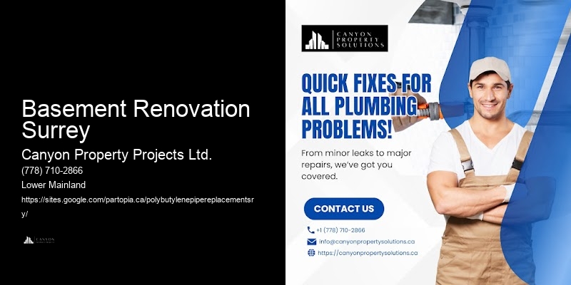 Basement Renovation Surrey Canyon Property Projects Ltd. Basement Renovation Surrey
