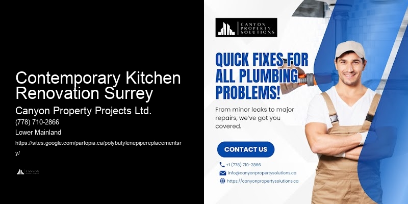 Contemporary Kitchen Renovation Surrey