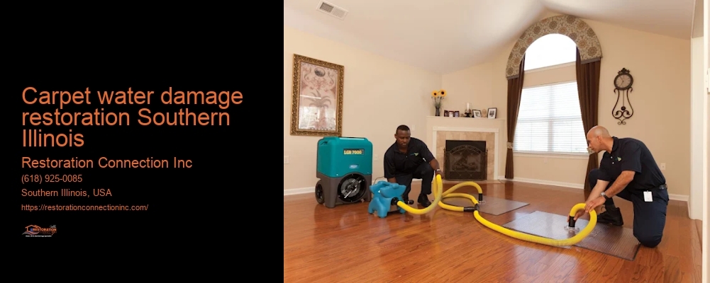 Carpet water damage restoration Southern Illinois Restoration Connection Inc Carpet water damage restoration Southern Illinois