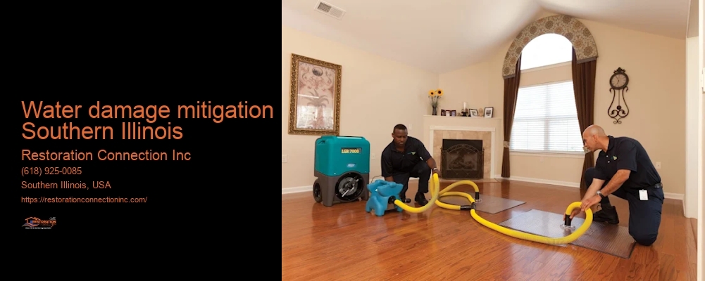 Water damage mitigation Southern Illinois Restoration Connection Inc Water damage mitigation Southern Illinois