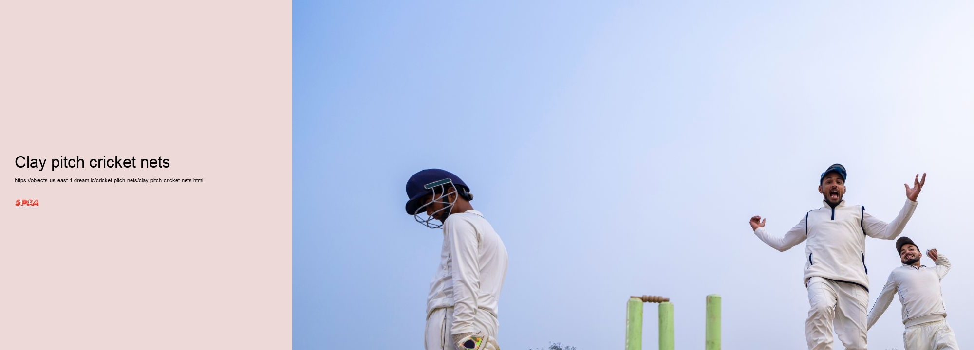Clay pitch cricket nets