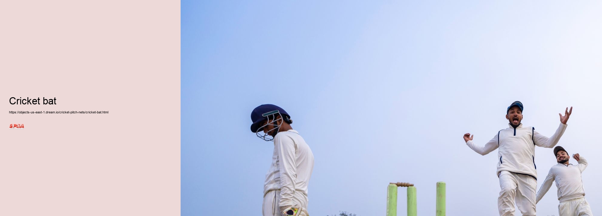 Cricket bat