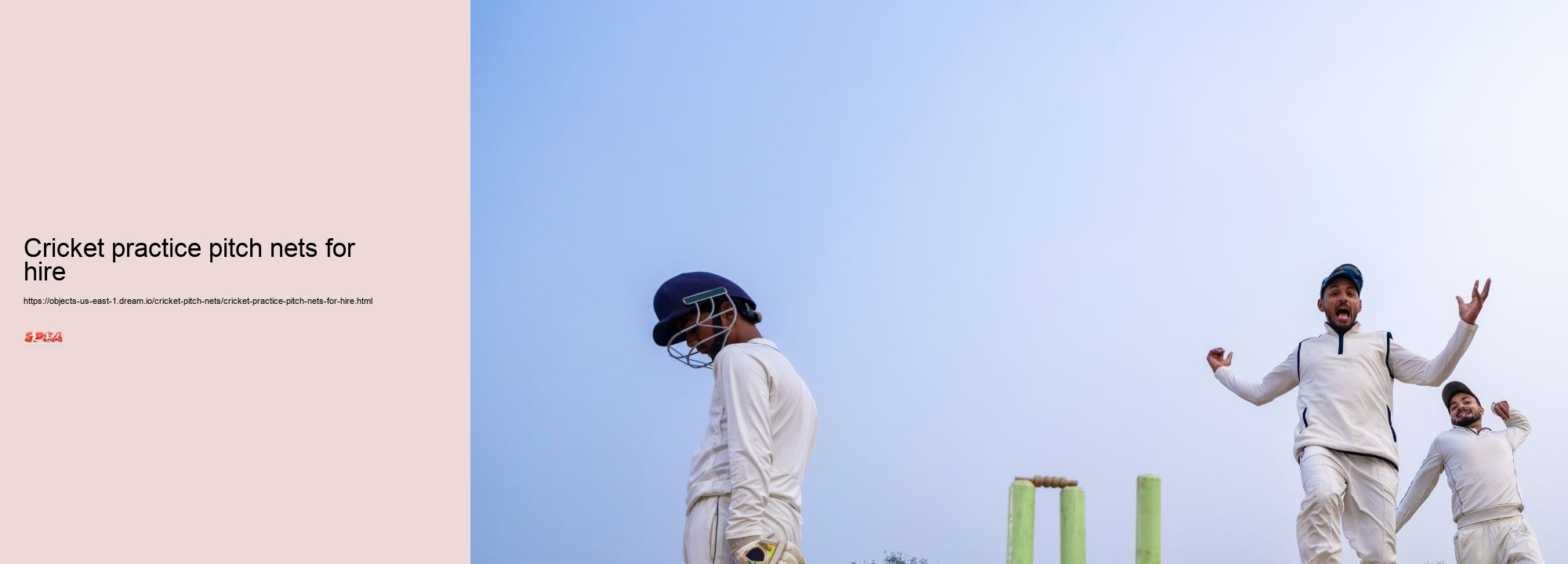 Cricket practice pitch nets for hire