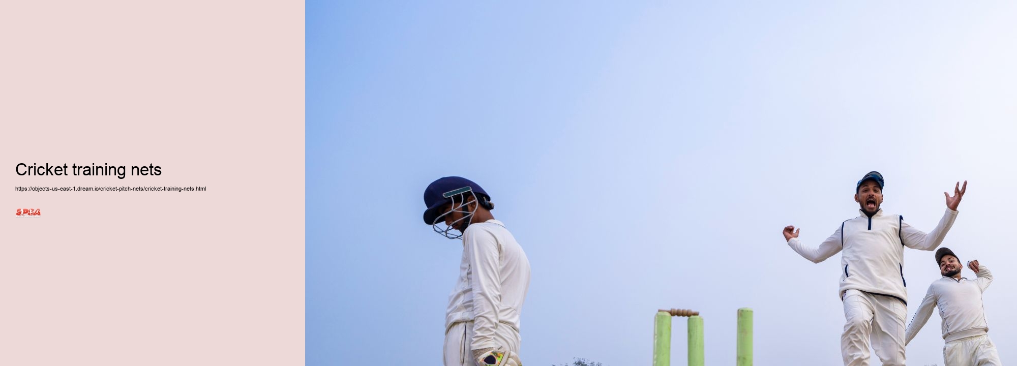 Cricket training nets