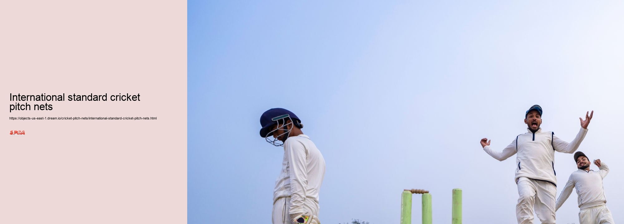 International standard cricket pitch nets