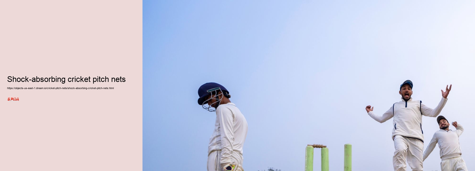 Shock-absorbing cricket pitch nets