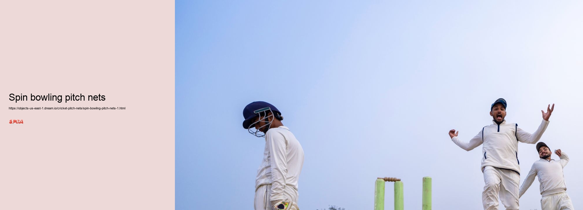 Spin bowling pitch nets