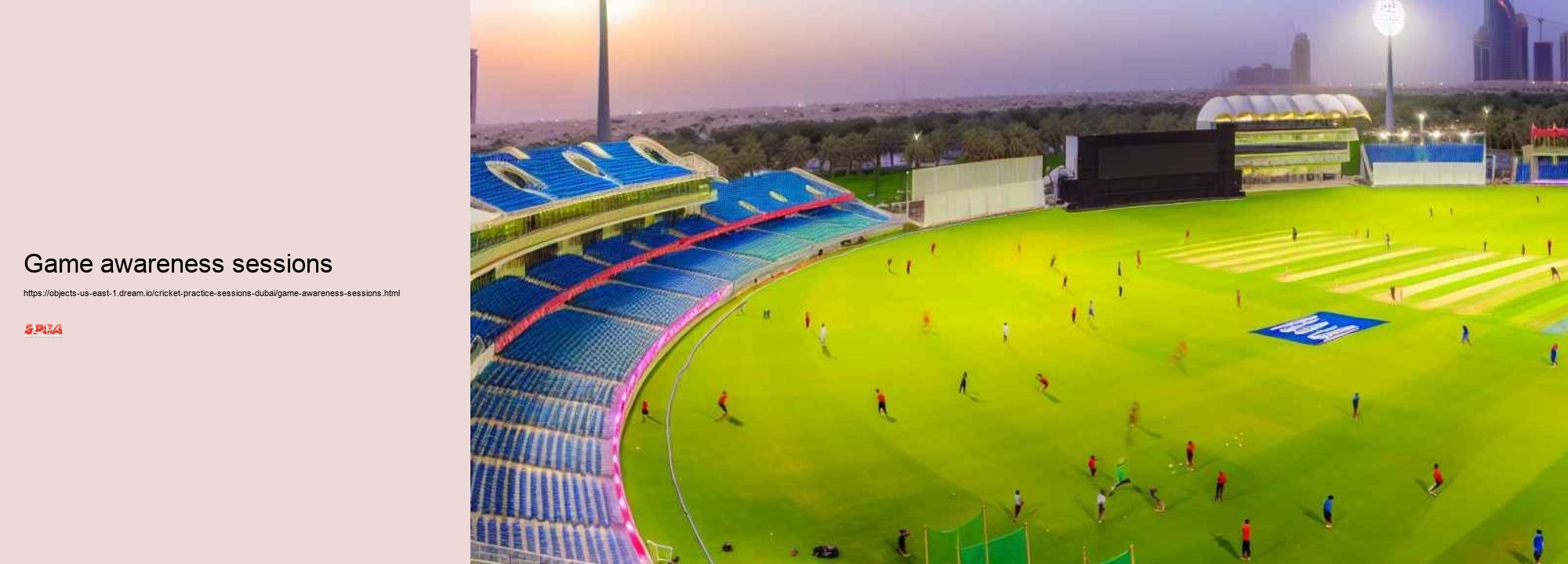 game awareness sessions