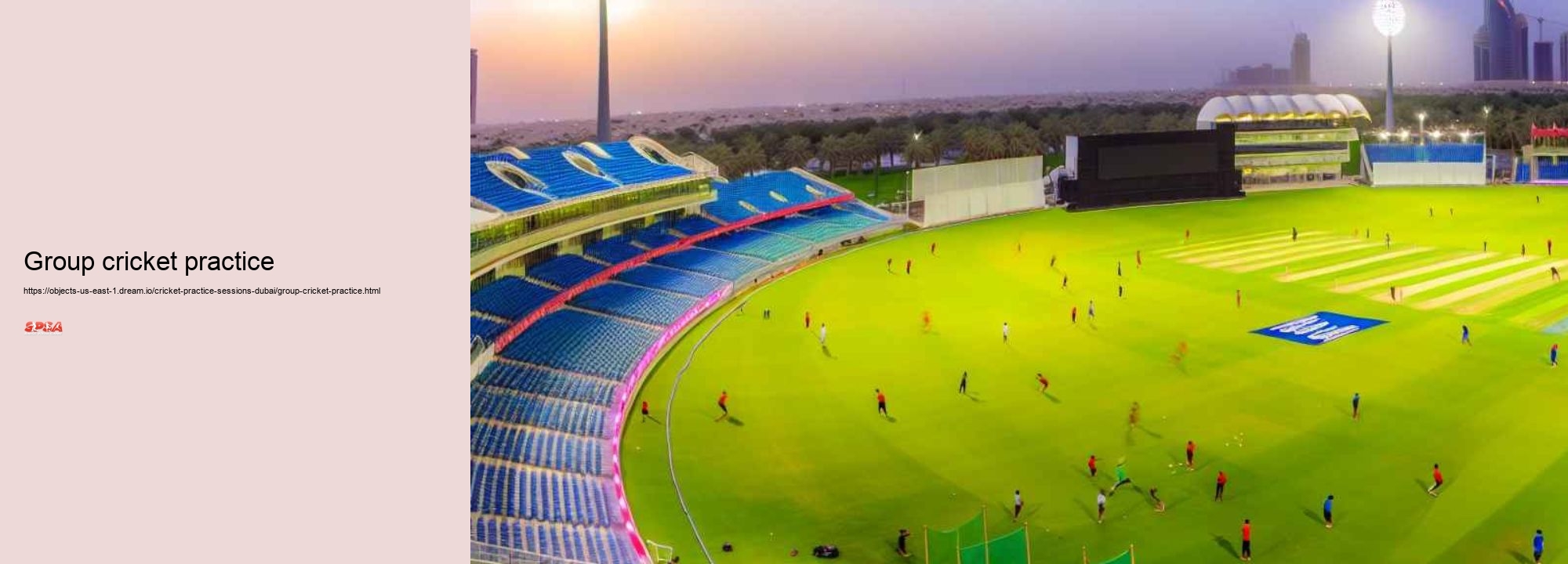 group cricket practice