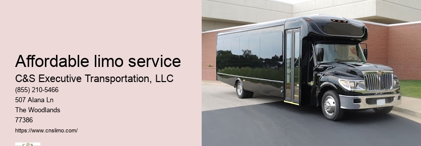 Special event limo rental