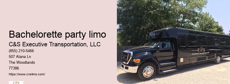 Airport limousine service Houston