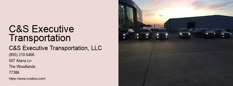 Airport limo service Houston