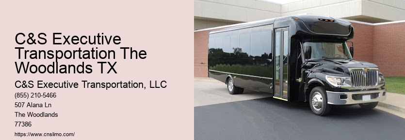 Best limo rental