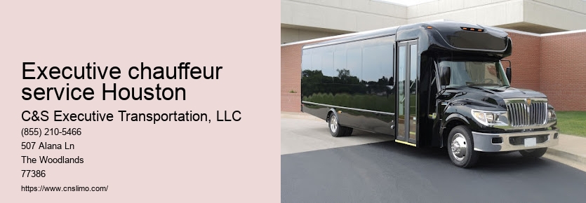 Houston limousine service