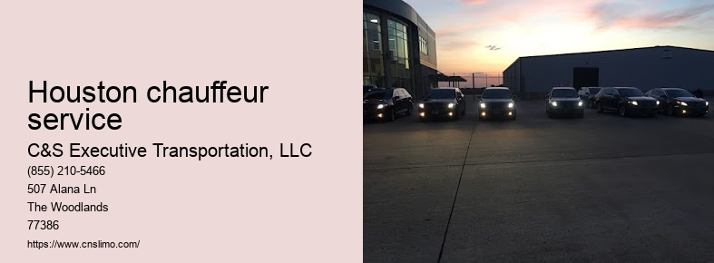 Houston TX black car service