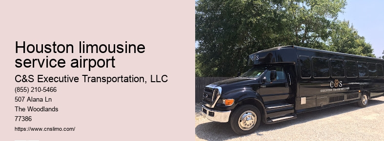 Executive limo service