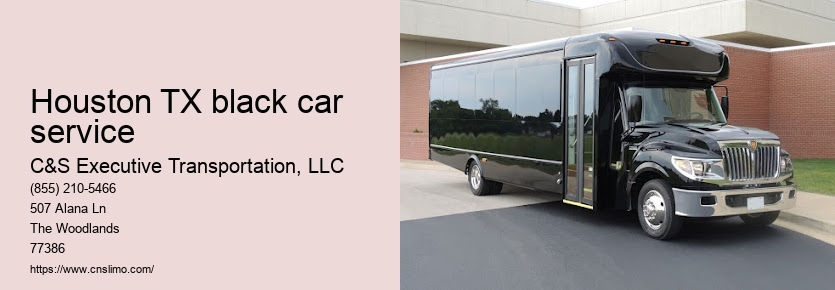 Executive limo service