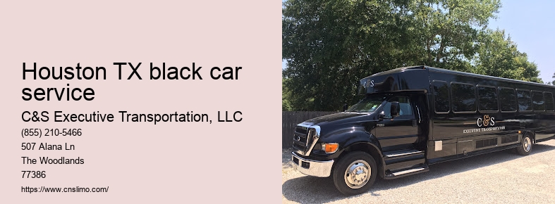 Professional limo service