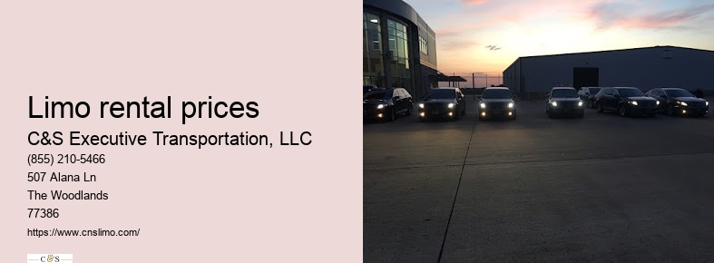 Executive limo service