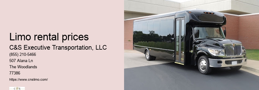 Professional limo service