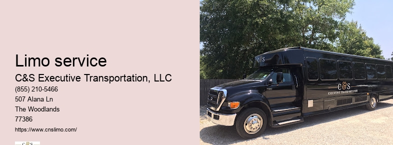Luxury car chauffeur service Houston