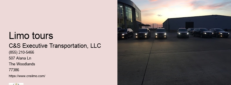 Best black car service Houston