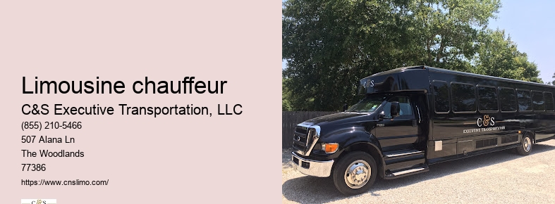 Executive chauffeur service Houston