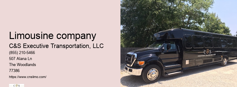 Party limo rental