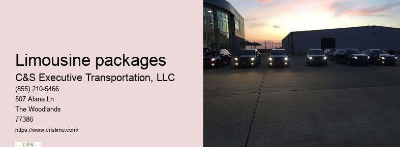 Limousine Houston