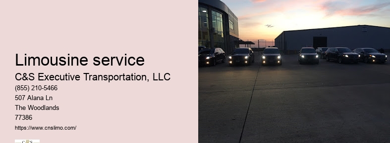 Airport limousine service Houston