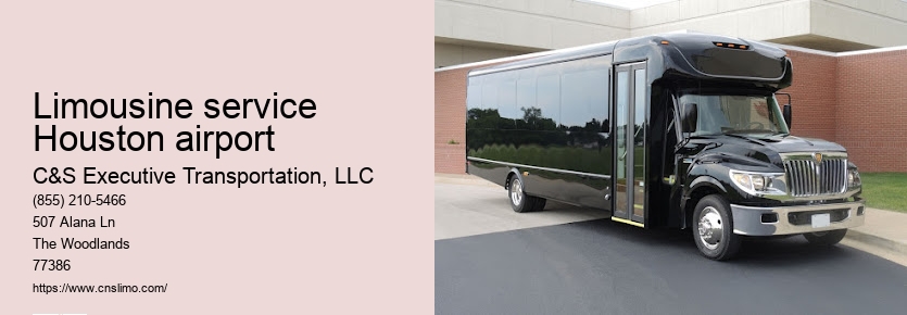 VIP limo service