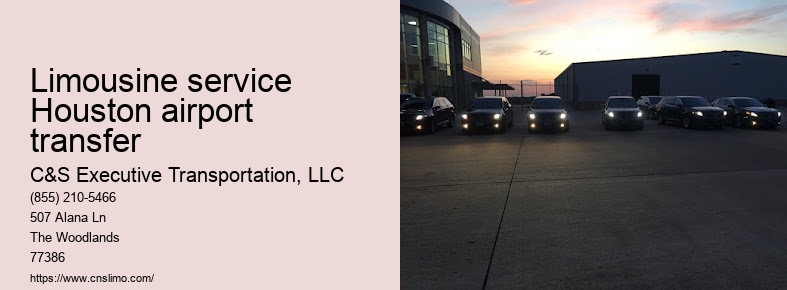 Special event limo rental