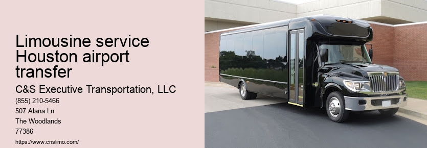 Party limo rental