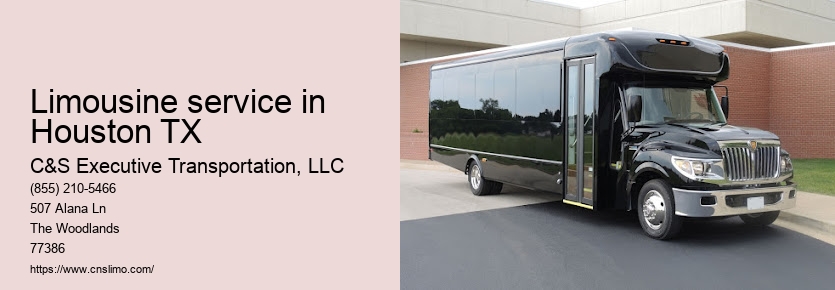 Private black town car service Houston TX